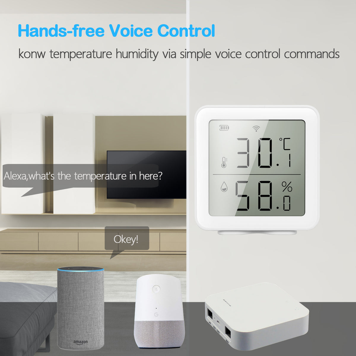 Tuya WiFi Temperature and Humidity Monitor
